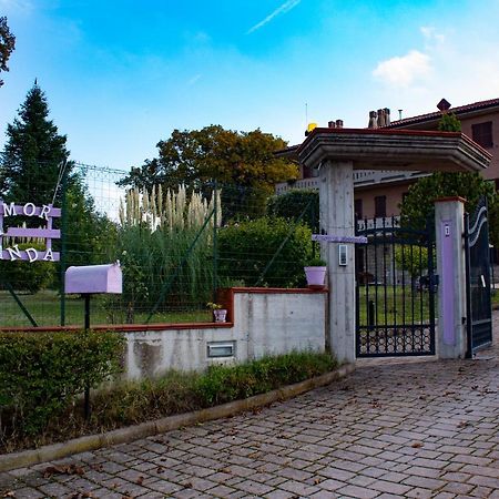 Amor Di Lavanda Cingoli Zewnętrze zdjęcie