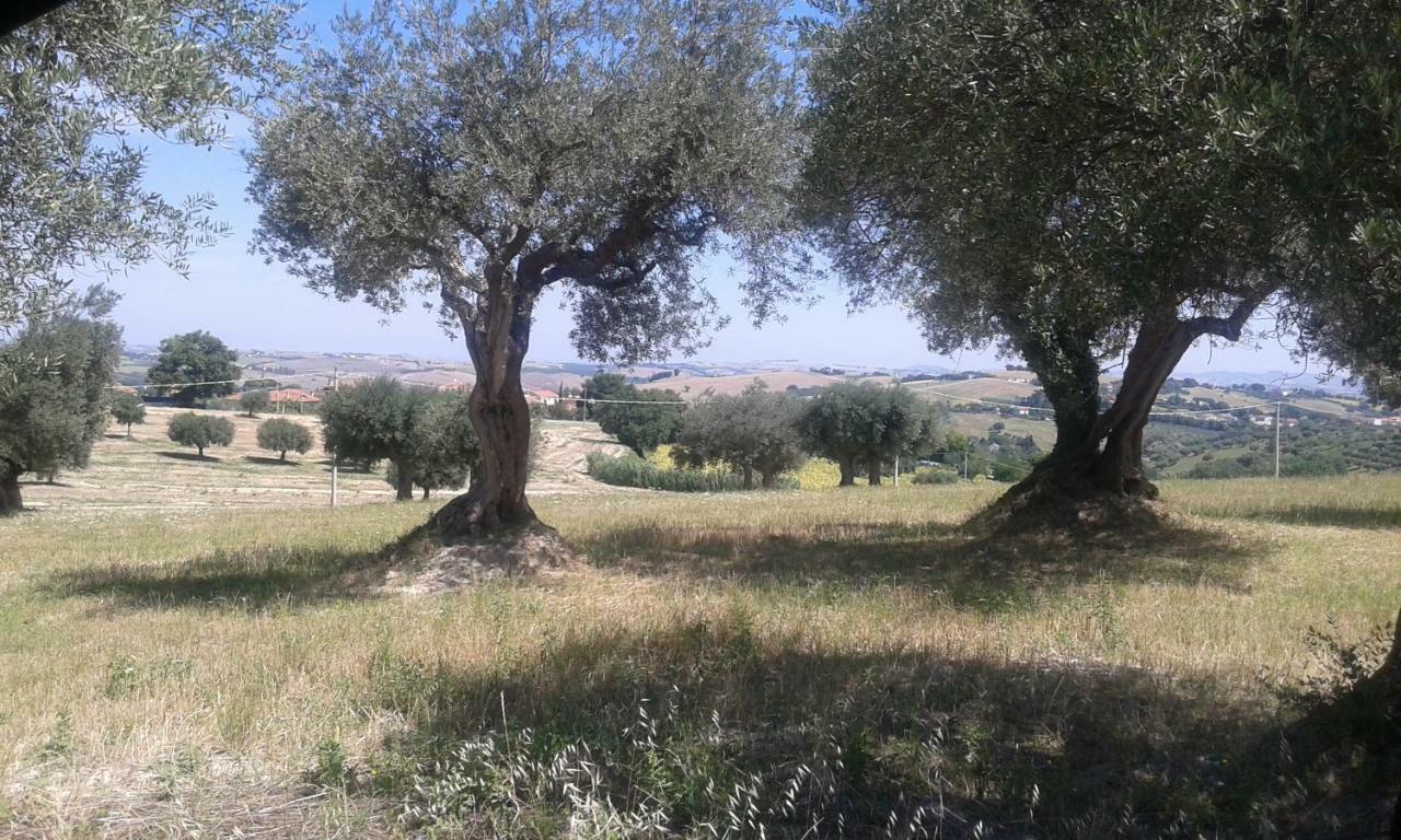 Amor Di Lavanda Cingoli Zewnętrze zdjęcie