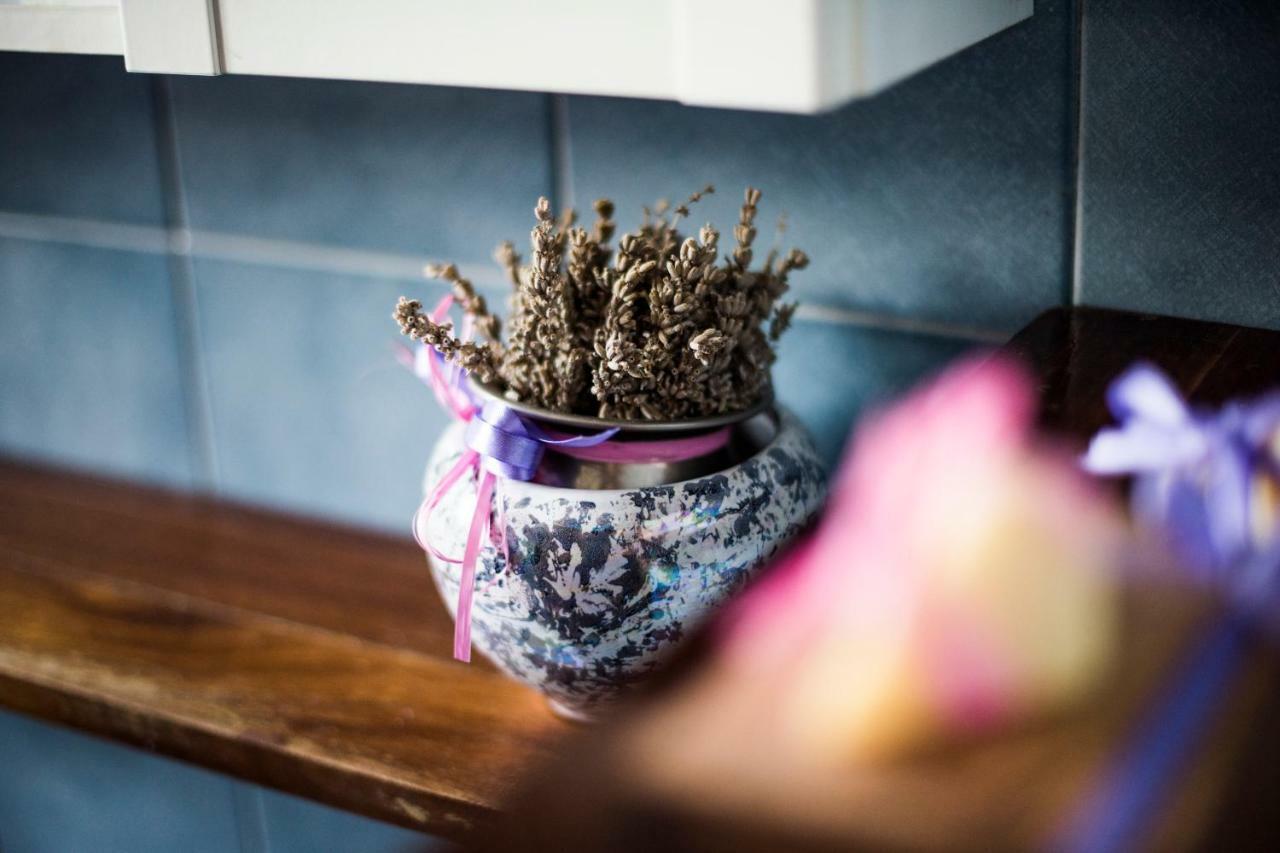 Amor Di Lavanda Cingoli Zewnętrze zdjęcie