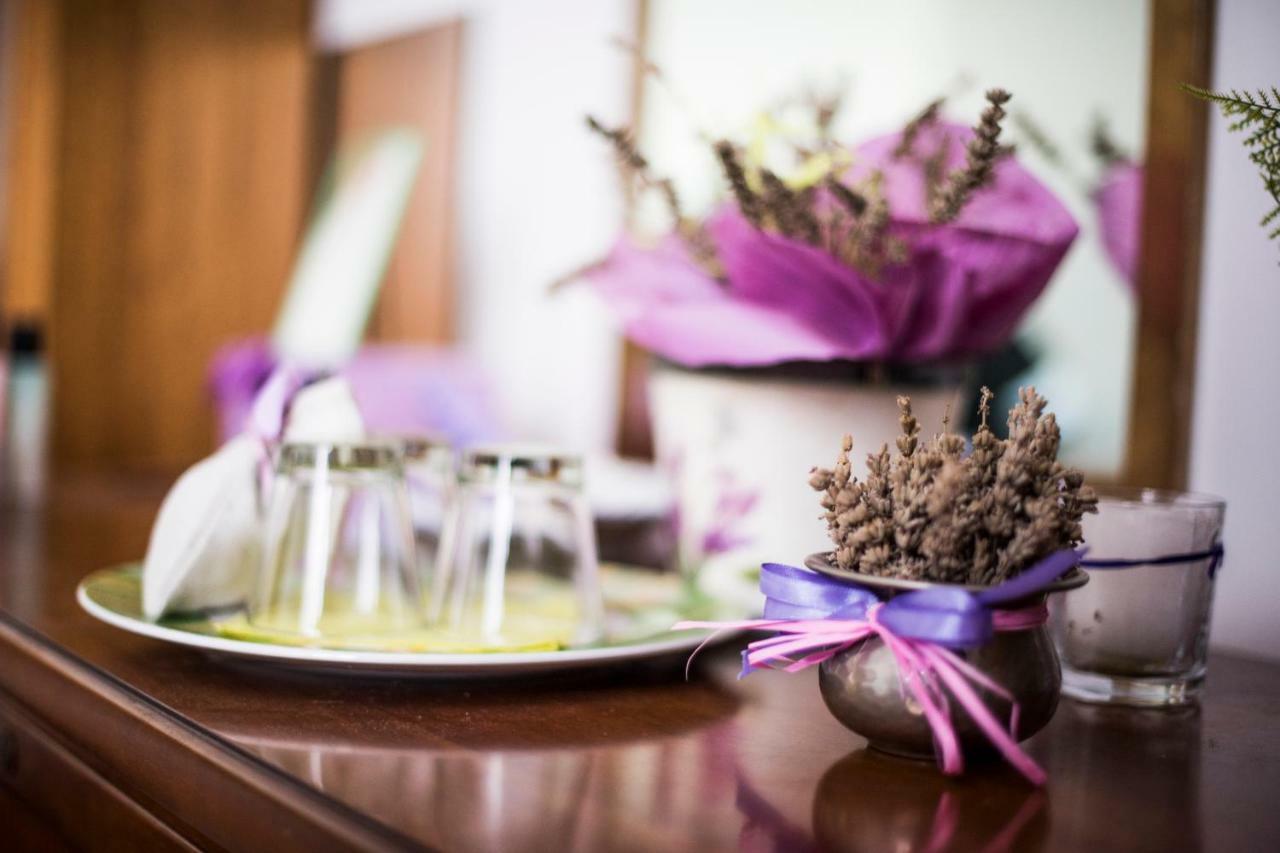 Amor Di Lavanda Cingoli Zewnętrze zdjęcie