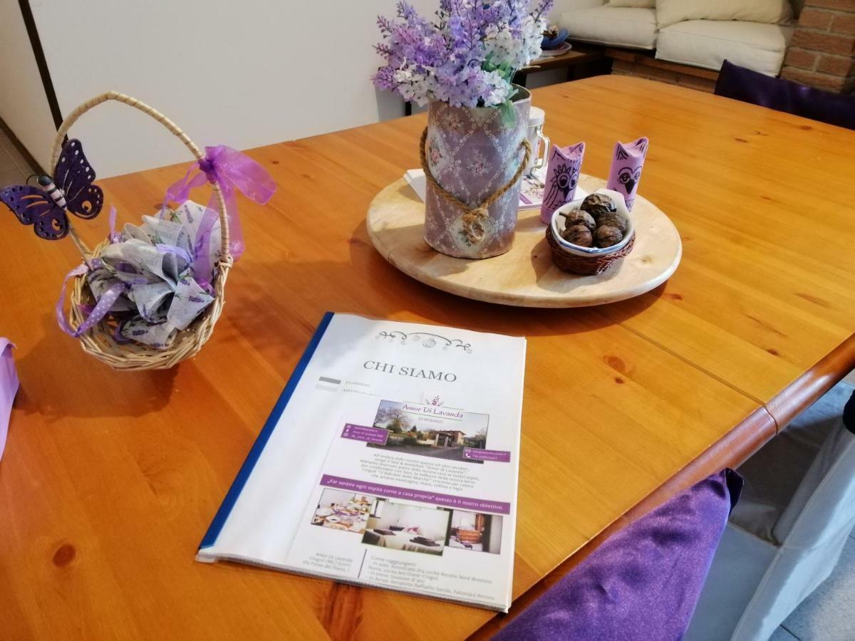 Amor Di Lavanda Cingoli Zewnętrze zdjęcie