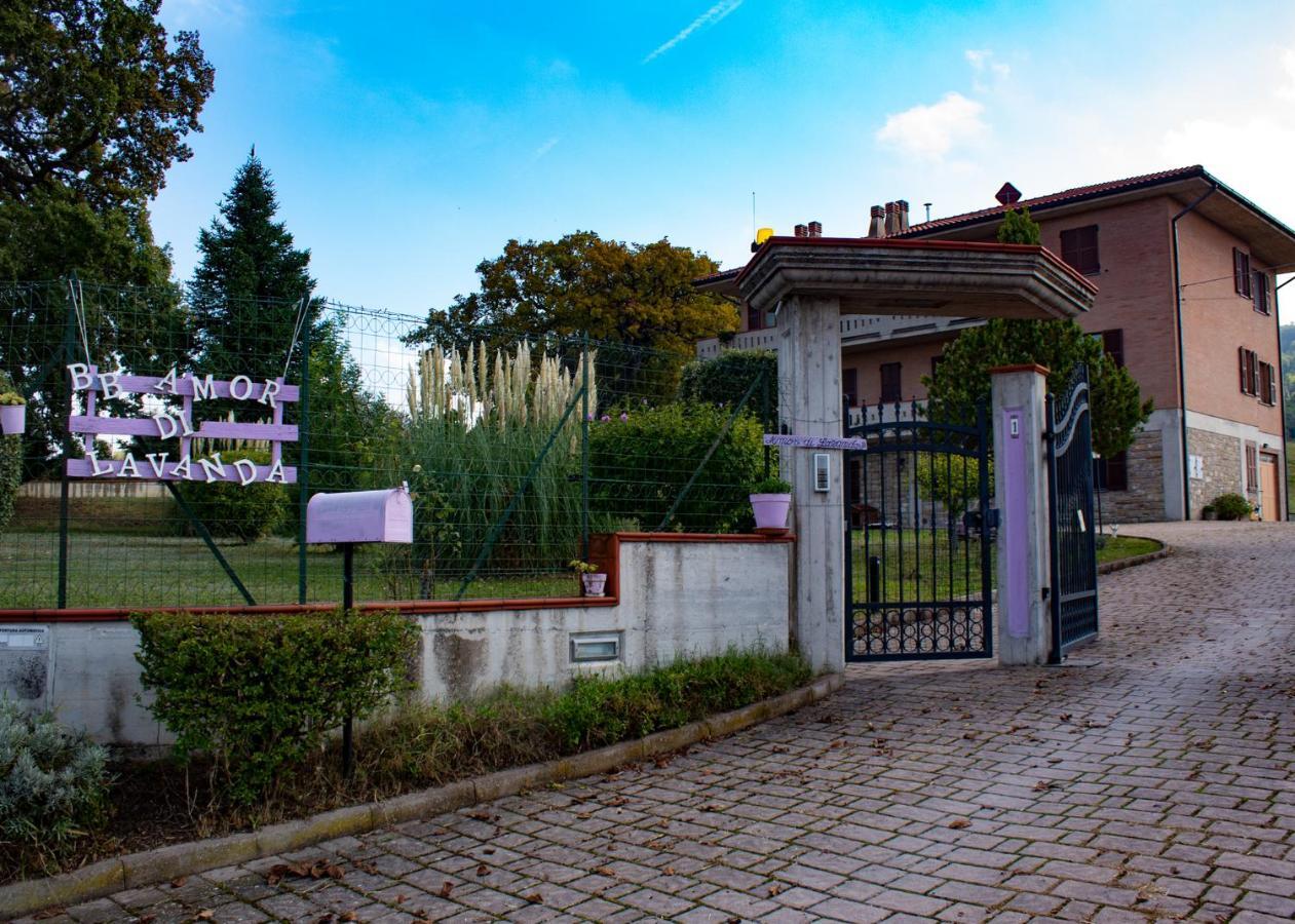 Amor Di Lavanda Cingoli Zewnętrze zdjęcie