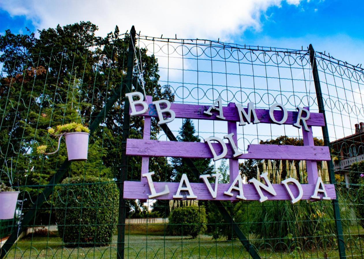 Amor Di Lavanda Cingoli Zewnętrze zdjęcie